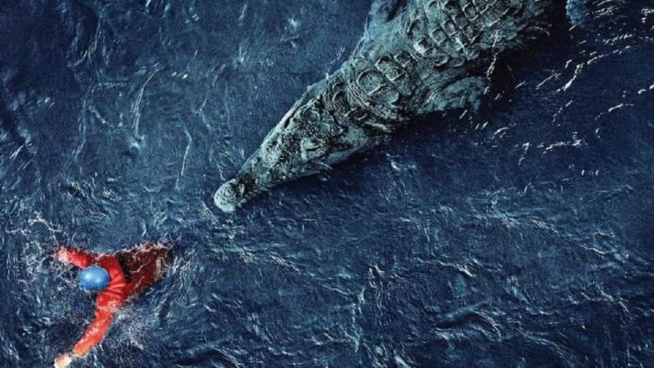 Black Water: Abyss Konusu Fragman izle 2020 Filmi