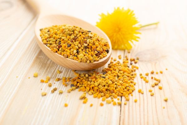Propolis Nedir? Doğal Antibiyotik İlaç!