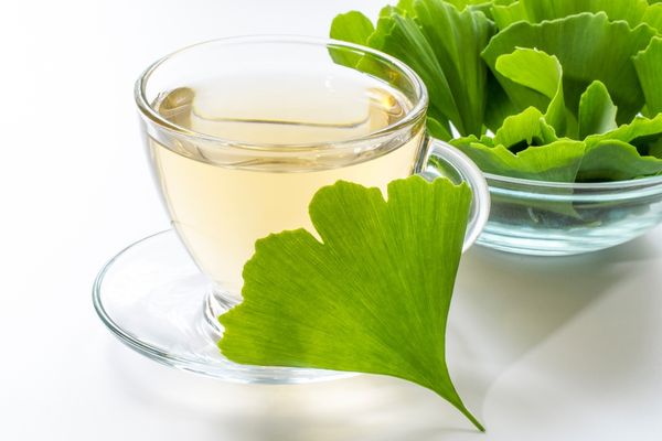 Ginkgo Biloba Çayının 10 Harika Faydası