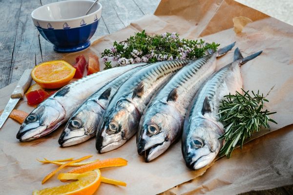İstavrit Nasıl Pişirilir, Temizlenir? Avı, Faydaları