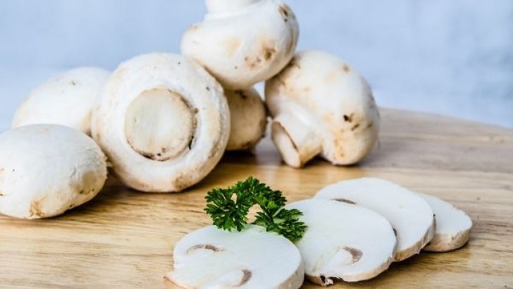 Evde Kültür Mantarı Yetiştiriciliği Nasıl Yapılır?