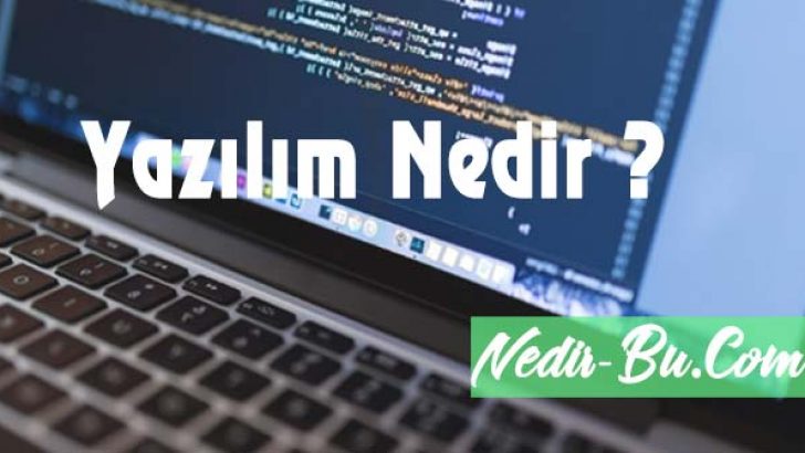 Yazılım Nedir Türleri ve Çeşitleri Nelerdir Kısaca ?