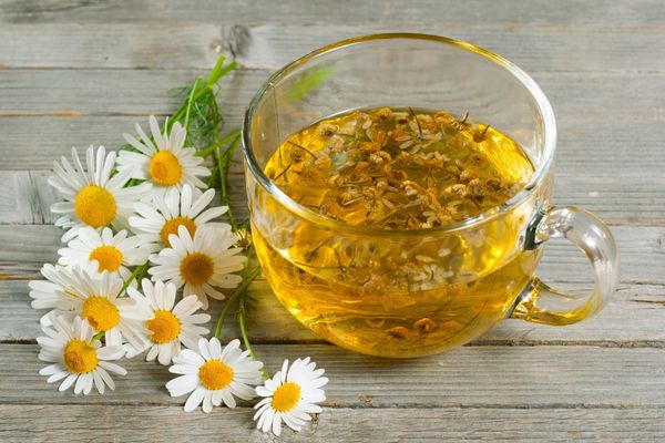 papatya çayı faydaları ve zararları