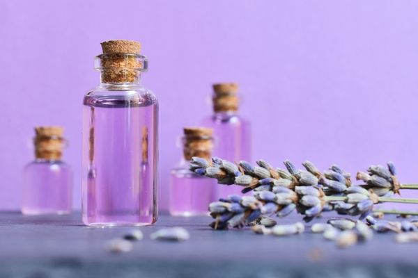 Lavanta Kürü Nasıl Yapılır? 8 Harika Faydası
