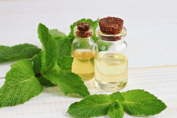 Sivrisinek Isırığına Ne İyi Gelir, Nasıl Geçer? 8 Çözüm – Nefis Yemek Tarifleri