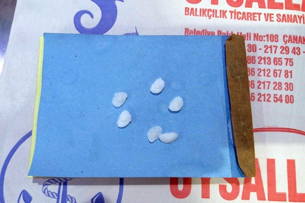 Eşkina Balığı Taşı Faydaları: Böbrek Taşına Çözüm