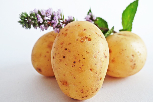 patates maskesi