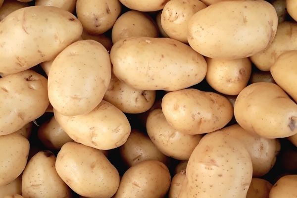 patates maskesi