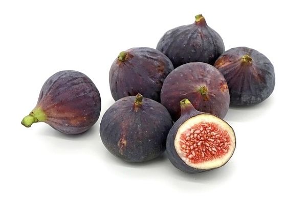 7 zeytin 1 incir diyeti