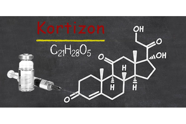 kortizon nedir