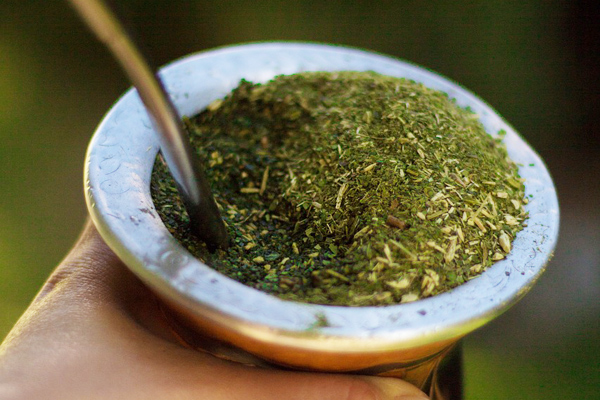 mate çayı faydaları