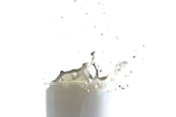yüksek proteinli süt