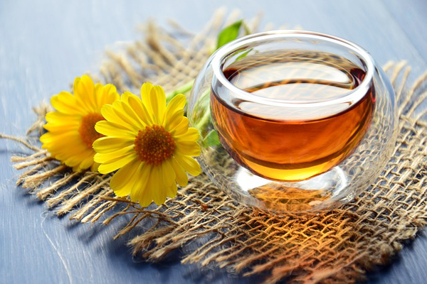 Ayahuasca Çayı Nedir? – Nefis Yemek Tarifleri