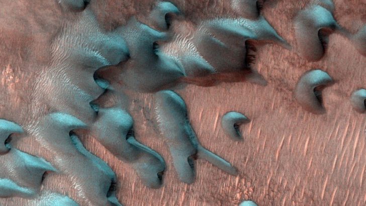 Mars’ta kış harika geçiyor – CHIP Online
