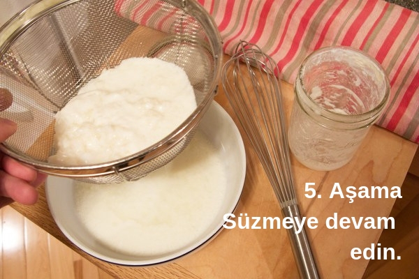 kefir mayası