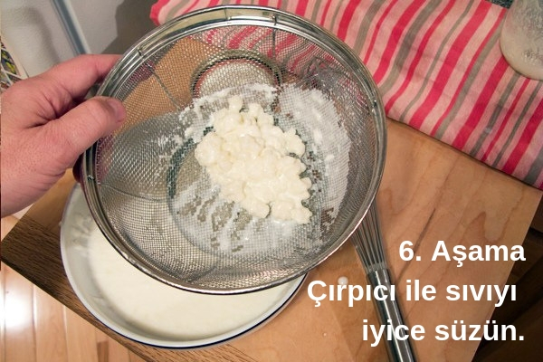 kefir mayası