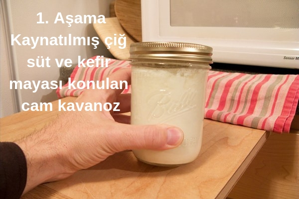 kefir mayası
