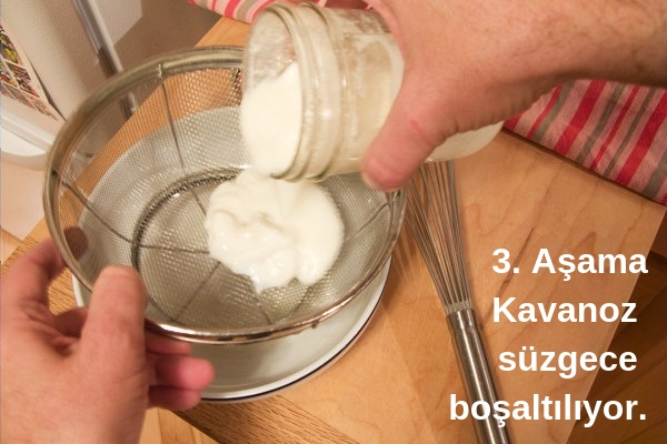 kefir mayası