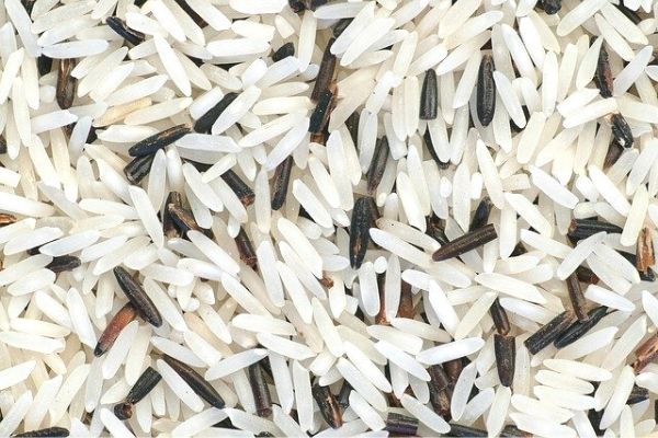 basmati pirinç nedir