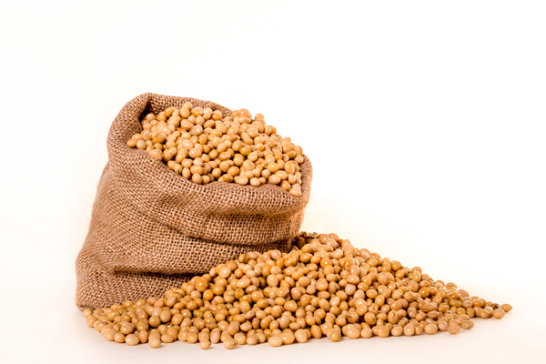 Soya Fasulyesi Nedir? Nasıl Tüketilir, Nerede Yetişir?