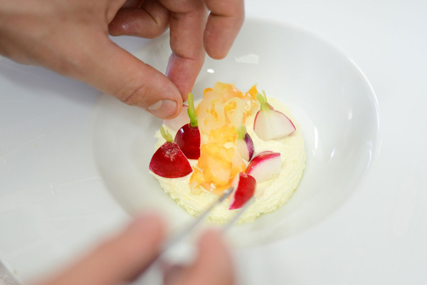 moleküler gastronomi