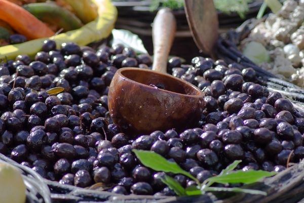 zeytin nasıl yapılır