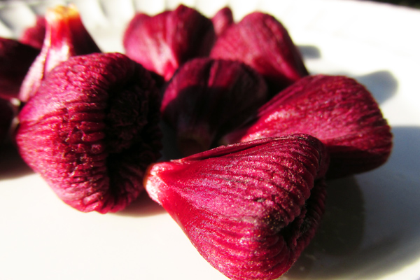 hibiskus çayının faydaları