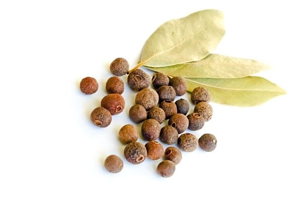 yenibahar hangi yemeklerde kullanılır