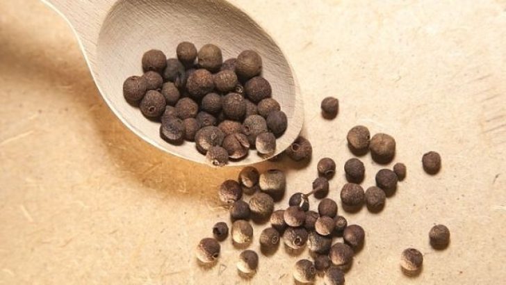 Yenibahar Nedir? Hangi Yemeklerde Kullanılır?