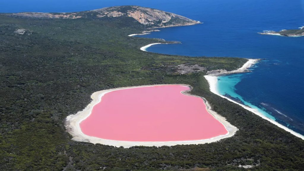 Avustralya’nın pembe gölü… – CHIP Online