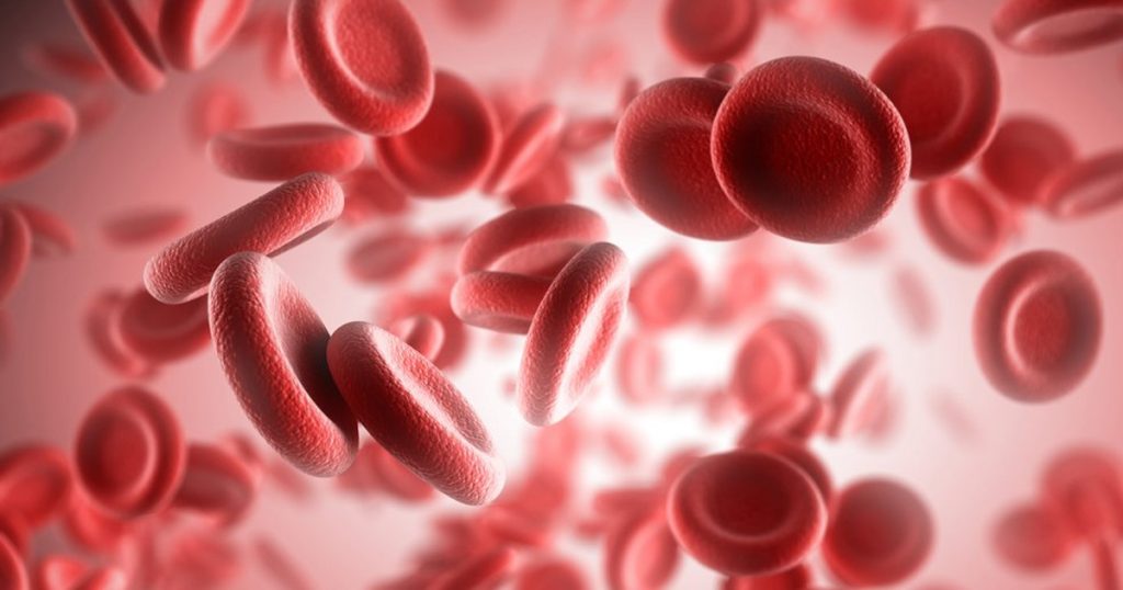 Granülosit nedir? GRA normal değeri ne? Granülosit yüksekliği, düşüklüğü, belirtileri ve nedenleri