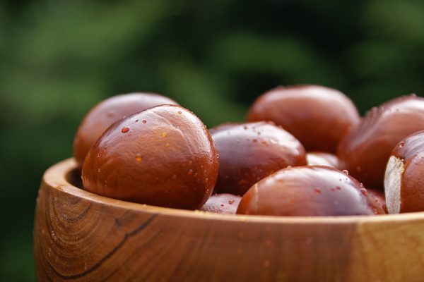 kestane