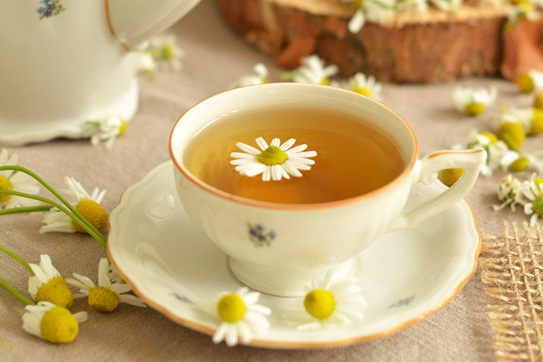 papatya çayı