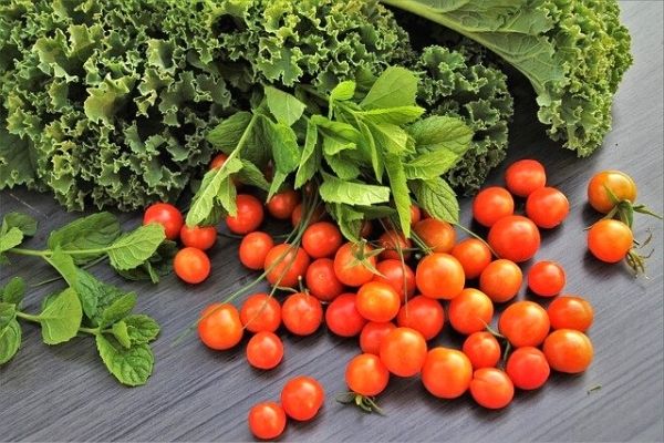 kale bitkisi faydaları