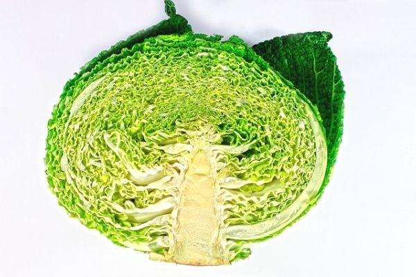 Kale Bitkisi: Bağışıklık Güçlendirici Kansersavar!