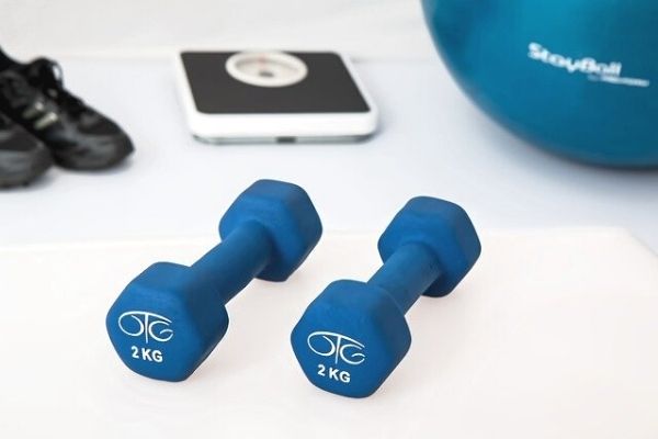 fitness beslenme programı