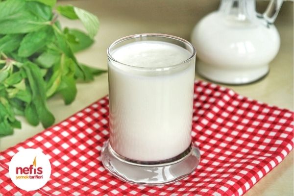 kefir mayası