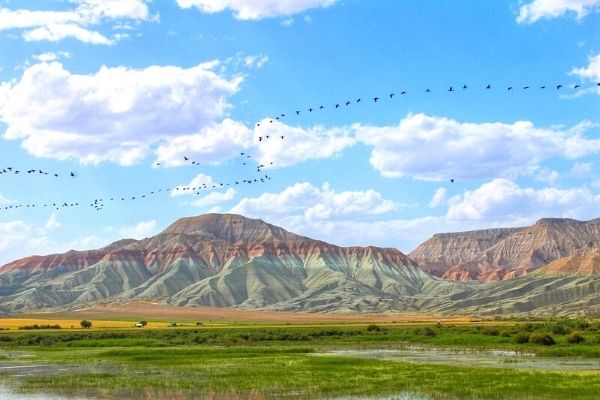 nallıhan'da ne yenir