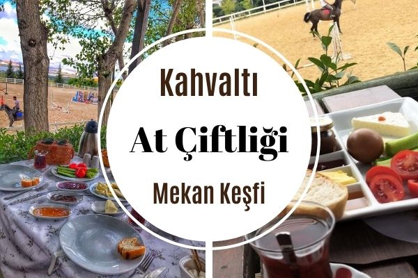 İstanbul’da En İyi 7 At Çiftliği ve Kahvaltı