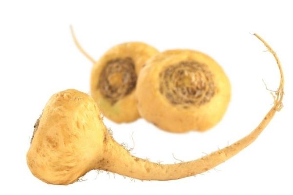 Maca Turpu: Bağışıklık Güçlendiren Peru Ginsengi