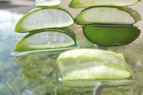 aloe vera buz maskesi