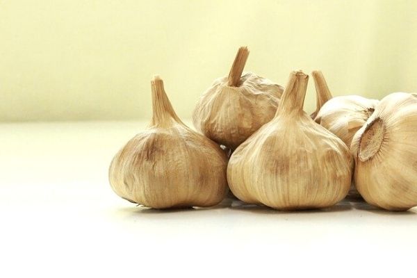 siyah sarımsak faydaları