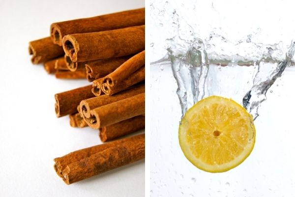 limon suyu tarçın