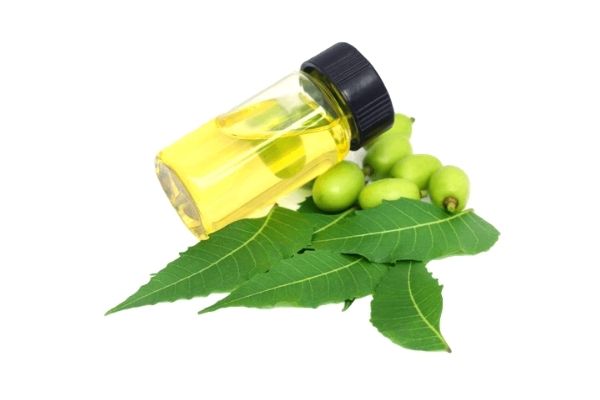 neem yağı
