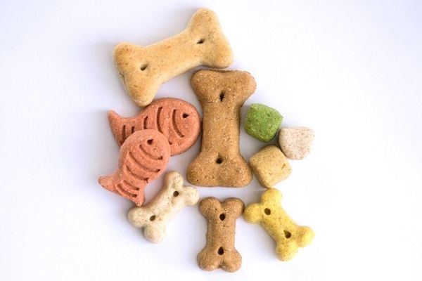 Köpeklerin Mama Dışında Yiyebileceği 5 Besin