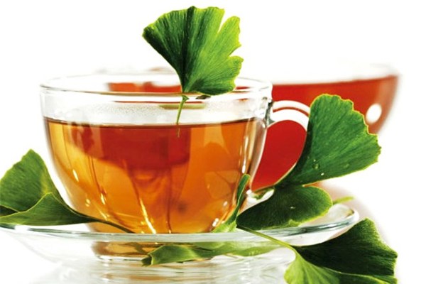 ginkgo biloba