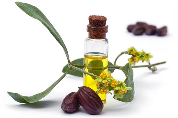jojoba yağı
