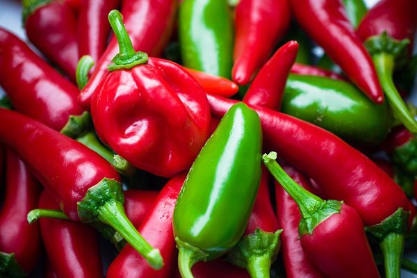 jalapeno biberi nerede satılır
