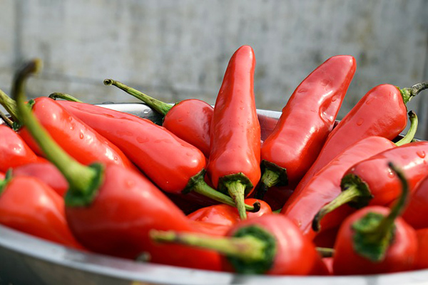 jalapeno biberi acı mı