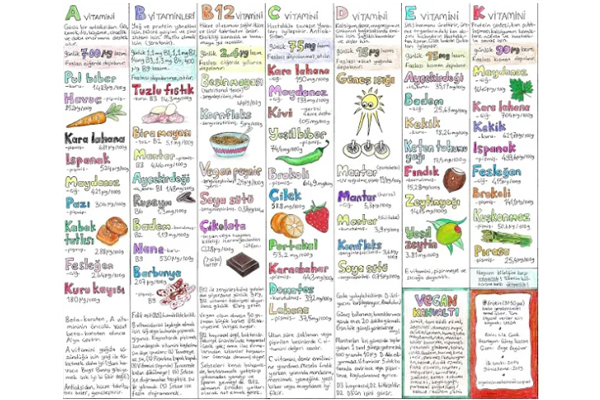 vegan beslenme tablosu
